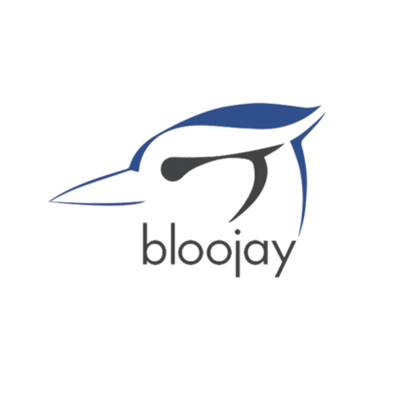 Bloojay Media cover image